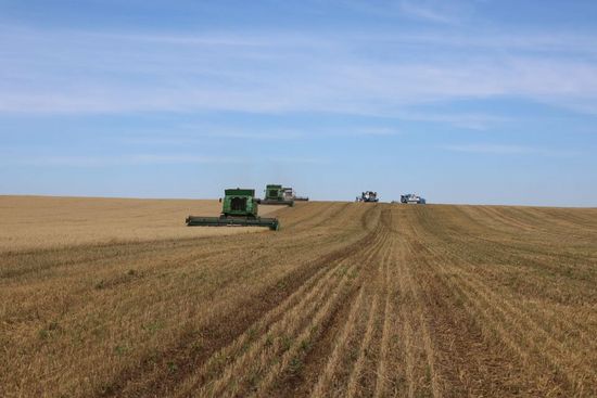 Фото пресс-службы Администрации Алтайского района Хакасии